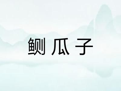 鲗瓜子