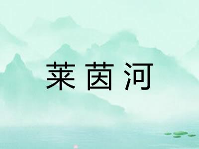莱茵河