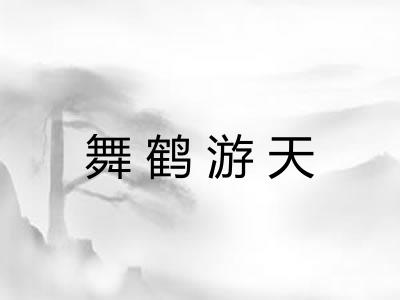 舞鹤游天