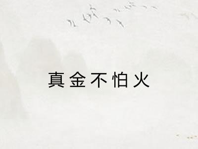 真金不怕火