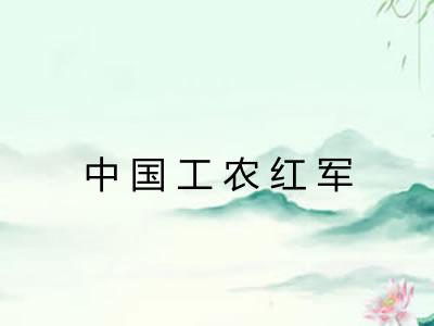 中国工农红军