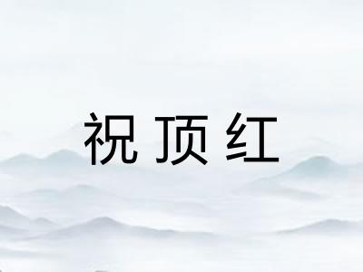 祝顶红