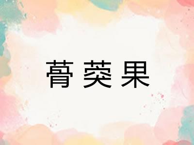 蓇葖果
