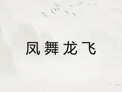 凤舞龙飞