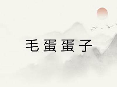 毛蛋蛋子
