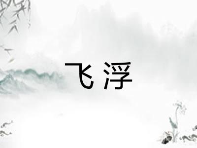 飞浮
