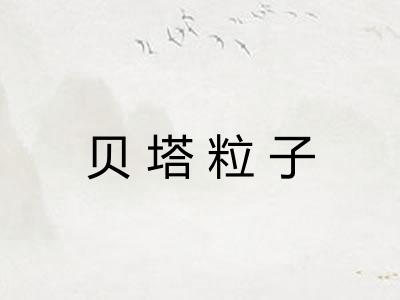 贝塔粒子