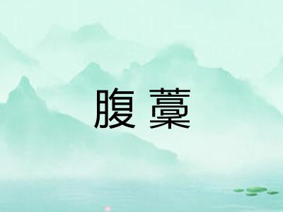 腹藳