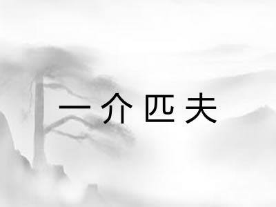 一介匹夫