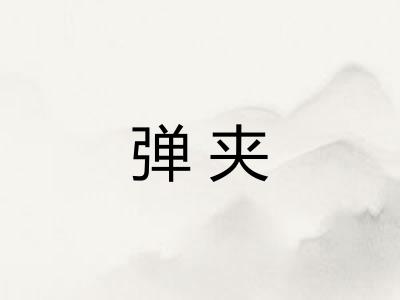 弹夹