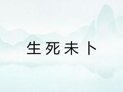 生死未卜