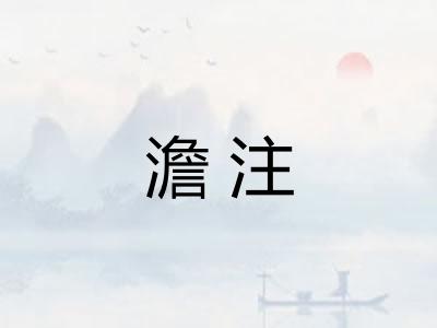 澹注