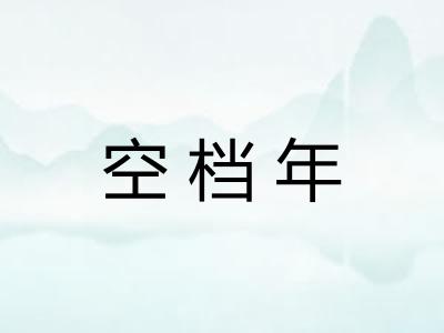 空档年