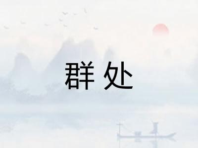 群处