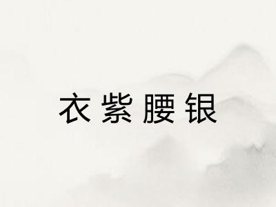 衣紫腰银