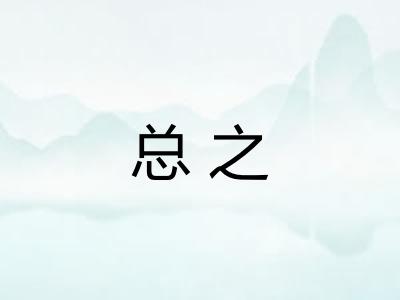 总之