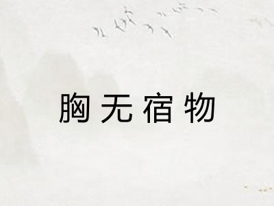 胸无宿物