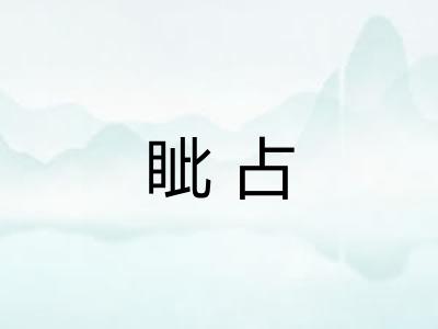 眦占