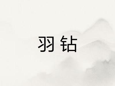 羽钻