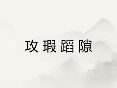 攻瑕蹈隙