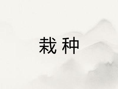 栽种