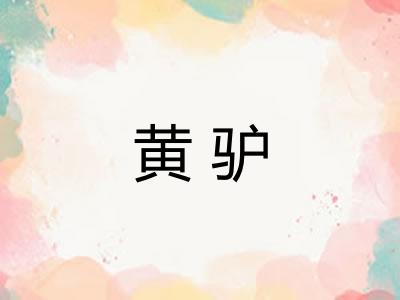 黄驴