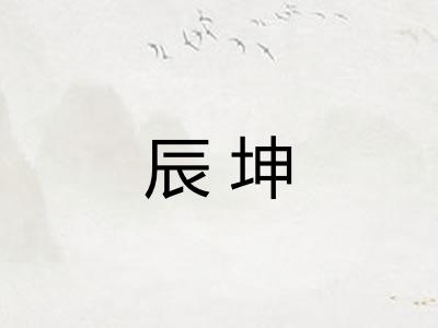 辰坤