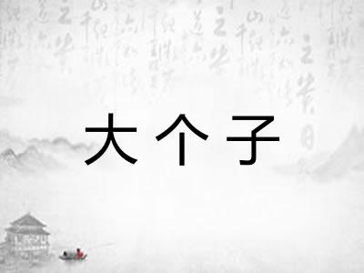 大个子