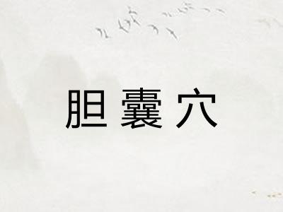 胆囊穴