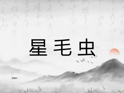 星毛虫