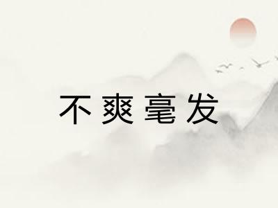 不爽毫发