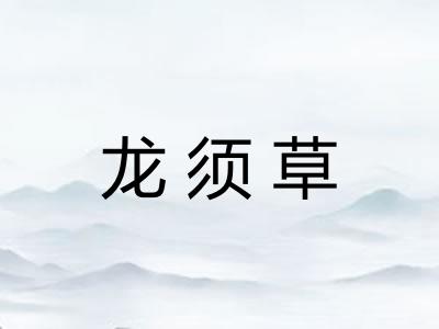 龙须草