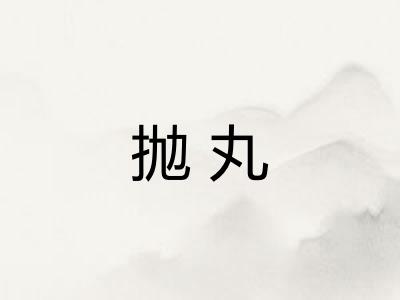 抛丸