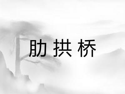 肋拱桥