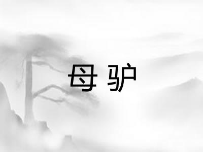 母驴