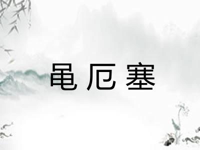 黾厄塞