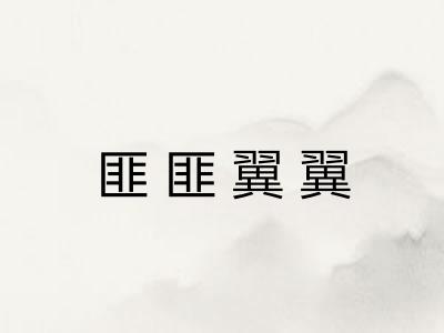 匪匪翼翼