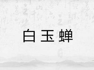白玉蝉