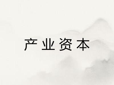 产业资本