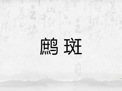 鹧斑