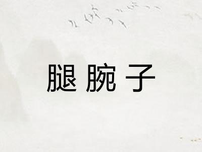 腿腕子
