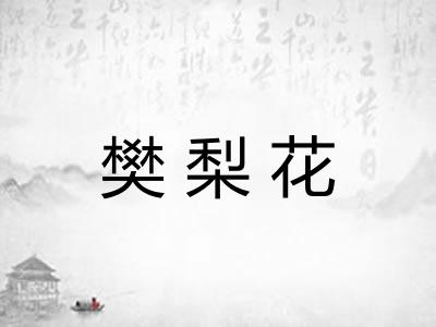 樊梨花