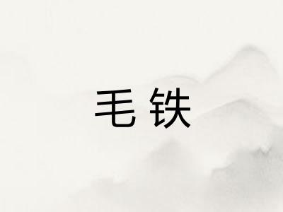 毛铁