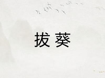 拔葵