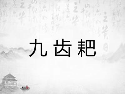 九齿耙