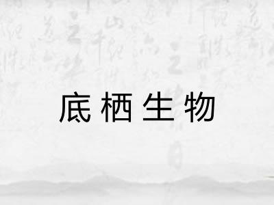 底栖生物