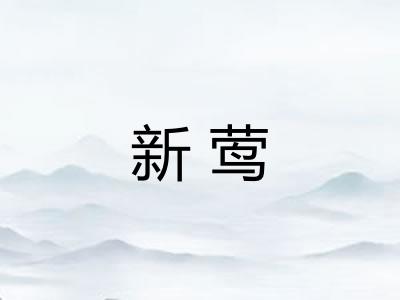新莺