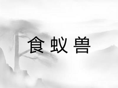 食蚁兽