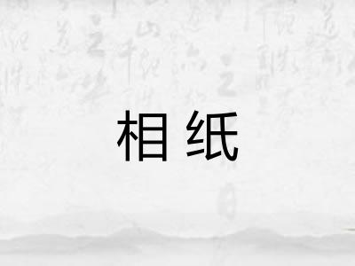 相纸