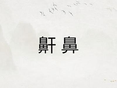 鼾鼻